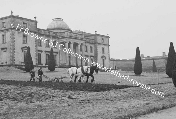 PLOUGHING OF DAIRY HILL